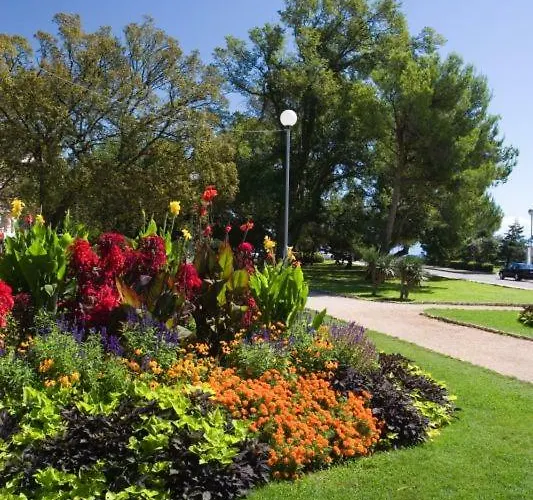 Marijan Apartamento *